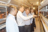 Tiền Giang đẩy mạnh áp dụng truy xuất nguồn gốc hàng hóa cho doanh nghiệp