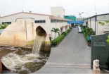Công ty cổ phần Tập đoàn Thái Tuấn xả thải vượt quy chuẩn