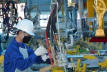 Long An triển khai Giải thưởng Chất lượng Quốc gia năm 2024 đến cộng đồng doanh nghiệp 