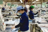 Quảng Ninh hỗ trợ doanh nghiệp nâng cao năng suất chất lượng sản phẩm, hàng hoá năm 2024