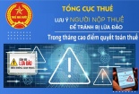 Tổng cục Thuế cảnh báo hành vi giả danh cán bộ, cơ quan thuế để lừa đảo