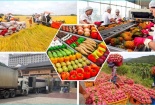 Tiêu chuẩn, quy chuẩn trong nông nghiệp và thách thức đối với nông sản xuất khẩu