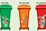 Phân loại rác thải tại nguồn: Thực trạng và giải pháp
