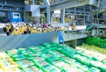 Phân bón Cà Mau tiếp tục đưa bà con nông dân “Tham quan nhà máy - Gặt hái mùa vàng” 