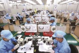Tiêu chuẩn ISO 31000 - ‘khắc tinh’ của rủi ro trong doanh nghiệp