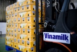 Mảng xuất khẩu của Vinamilk khởi sắc nhờ các thị trường chủ lực
