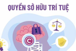 Nâng cao ý thức bảo vệ thương hiệu của doanh nghiệp nhằm ngăn chặn hàng vi phạm sở hữu trí tuệ