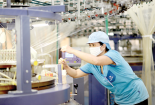 Ninh Thuận: Hỗ trợ doanh nghiệp áp dụng giải pháp nâng cao năng suất, chất lượng