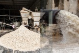 Tây Ninh: Xử phạt 3,3 tỷ đồng đối với 10 doanh nghiệp xả thải không đúng quy chuẩn