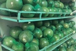SPS Việt Nam thông báo các yêu cầu nhập khẩu thực phẩm mới