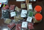 Lạm dụng thuốc Đông y không rõ nguồn gốc, bào chế không đúng cách: Biến chứng nặng nề