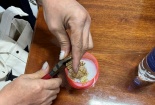 Xử lý nghiêm doanh nghiệp kinh doanh trang sức giả mạo nhãn hiệu