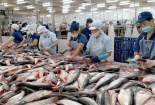 Tác động với doanh nghiệp thủy sản khi Mỹ công nhận Việt Nam có nền kinh tế thị trường