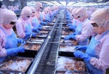 Hậu Giang hỗ trợ tích cực cho doanh nghiệp về nâng cao năng suất, chất lượng sản phẩm hàng hóa