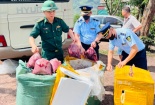 Quảng Trị: Liên tiếp phát hiện số lượng lớn nội tạng động vật không rõ nguồn gốc