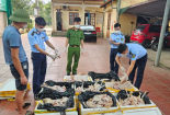 Thu gom lượng lớn gà nguyên con, lòng lợn đã bốc mùi ôi thiu, bán trái phép