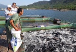 Kiến nghị sớm ban hành quy chuẩn mới trong lĩnh vực nuôi trồng thủy sản