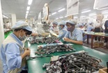 Công cụ cải tiến - yếu tố quan trọng giúp doanh nghiệp nâng cao năng suất