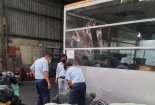 Buộc tiêu hủy gần 8 tấn nội tạng động vật nhập lậu của Công ty TNHH Thực phẩm T.T.P 