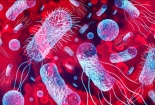 Thuốc kháng sinh thế hệ tiếp theo tiêu diệt siêu vi khuẩn, chỉ để lại vi khuẩn đường ruột tốt