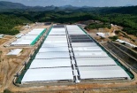 Yêu cầu dừng hoạt động đối với Công ty Agri – Vina do vi phạm gây ô nhiễm môi trường
