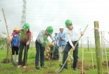 Petrovietnam: Trồng cây xanh là giải pháp quan trọng trong chuyển dịch năng lượng