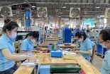 11 nguyên tắc cơ bản khi áp dụng tiêu chuẩn BSCI về trách nhiệm xã hội 