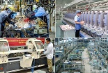 Công cụ cải tiến năng suất chất lượng: Đòn bẩy giúp doanh nghiệp vừa và nhỏ hội nhập quốc tế
