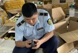Hải Phòng: Tạm giữ lô mỹ phẩm có dấu hiệu nhập lậu trị giá gần 400 triệu