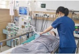 Tử vong vì uống nước sắc từ rễ cây trị đau đầu