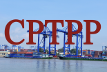 Ban hành Nghị quyết phê chuẩn Văn kiện gia nhập Hiệp định CPTPP của Liên hiệp Vương quốc Anh và Bắc Ireland