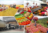 Sửa quy định chứng nhận cơ sở sản xuất, kinh doanh thực phẩm nông, lâm, thủy sản đủ điều kiện an toàn