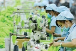 Tiêu chuẩn OCS xác minh hàm lượng nguyên liệu hữu cơ trong sản phẩm dệt may 