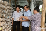 Tiền Giang: Ứng dụng khoa học công nghệ vào sản xuất kinh doanh, phát triển kinh tế bền vững
