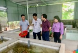Thanh Hóa: Nâng cao hiệu quả nuôi lươn không bùn theo TCVN 13528-1:2022