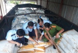 Quảng Trị: Phát hiện gần 29 tấn đường cát nhập lậu đang trên đường vận chuyển đi tiêu thụ
