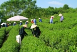 Masan thực thi cam kết giảm phát thải ròng bằng những hoạt động thực chất