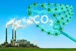 Địa phương vào cuộc thực hiện cam kết phát thải ròng bằng “0” (Net Zero)