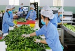 EU siết quy định an toàn thực phẩm đối với nhiều loại nông sản