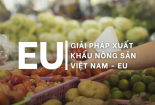 Doanh nghiệp nông sản cần làm gì để thuận lợi xuất khẩu vào thị trường EU