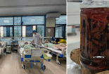 Hai người đàn ông gặp nguy kịch do uống rượu ngâm rễ cây hồi 