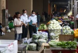Số lượng quy chuẩn về an toàn thực phẩm còn ít, gây khó cho quản lý
