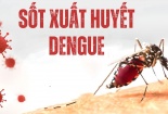 Cảnh báo tử vong do sốt xuất huyết