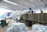 Xuất khẩu phân bón của Việt Nam tăng mạnh