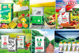 Công ty Phân bón Con Cò Vàng bị phạt 320 triệu đồng vì hàng loạt sai phạm