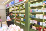 Thanh Hóa siết chặt quản lý mỹ phẩm, bảo vệ sức khỏe người tiêu dùng