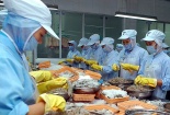 Tiêu chuẩn xanh đẩy mạnh xuất khẩu bền vững