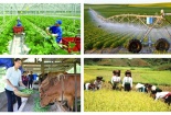 Thành lập Ban Chỉ đạo Tổng điều tra nông thôn, nông nghiệp năm 2025