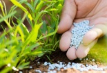 Dự thảo sửa đổi quy định về sản phẩm phân bón