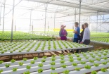 Lâm Đồng hỗ trợ doanh nghiệp nông nghiệp xây dựng, áp dụng tiêu chuẩn ISO 22000